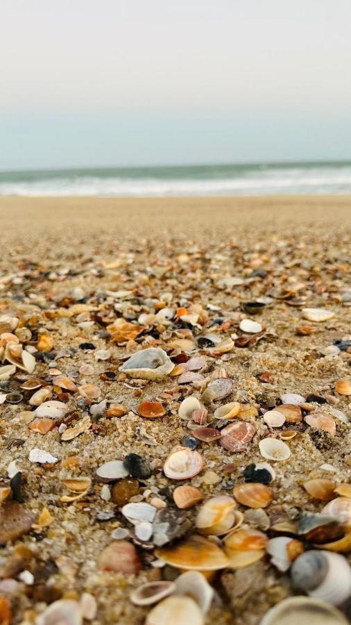 Quarto Sertao No Mar 바하 두 쿠냐우 외부 사진